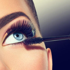 Collection image for: Rimel